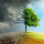 CLIMATE CHANGE TODAY