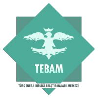 TEBAMM-300x292-(1)