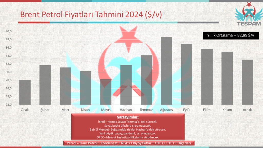TESPAM Petrol Fiyat Tahminleri 2024